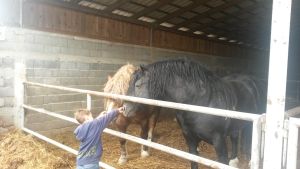 studijski posjet Mreza za ruralni razvoj Srbije 009