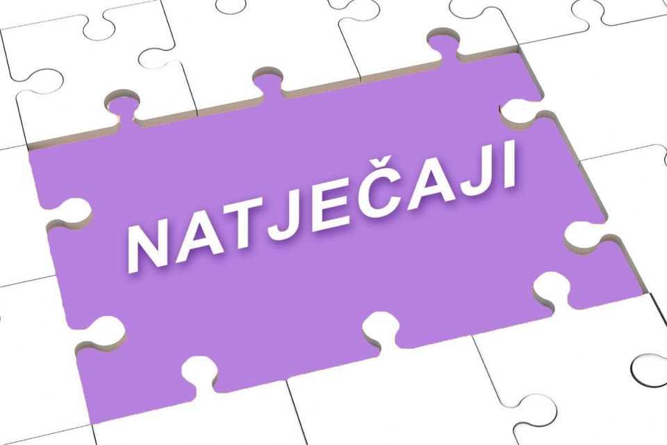 NATJEČAJ ZA DODJELU JEDNOKRATNIH FINANCIJSKIH PODRŠKI ZA 2018. GODINU