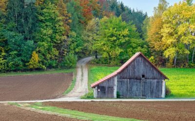 Gotovo 5 milijuna eura za financiranje projekata lokalne infrastrukture i ruralnog razvoja na područjima naseljenim pripadnicima nacionalnih manjina