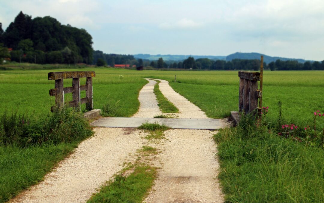 Prva izmjena natječaja za provedbu intervencije 73.13. Potpora javnoj infrastrukturi u ruralnim područjima