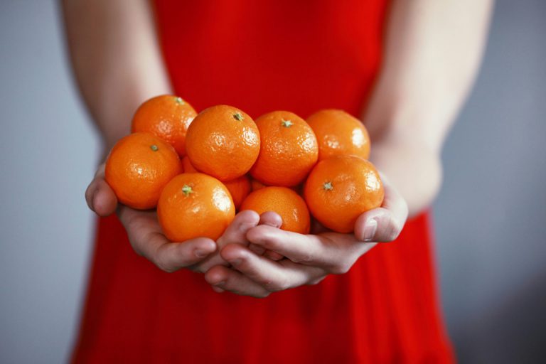 Školska shema 2024/25 – objavljeni Popisi odobrenih i vrednovanih dobavljača te najviše prihvatljive nabavne cijene za obračunsko razdoblje – travanj 2025. godine