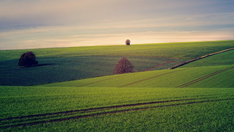 Obavijest korisnicima: Konzervacijska poljoprivreda (31.06.) i/ili Minimalni udio leguminoza od 20% unutar poljoprivrednih površina (31.05.)