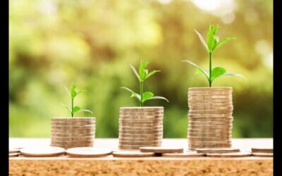 Otvorene prijave za „Obrtna sredstva SP ZPP“ za primarnu poljoprivrednu proizvodnju!