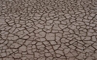 Objavljen novi Javni poziv za provedbu intervencije 78.a.01. „Krizna plaćanja poljoprivrednicima nakon prirodnih katastrofa, nepovoljnih klimatskih prilika ili katastrofalnih događaja“